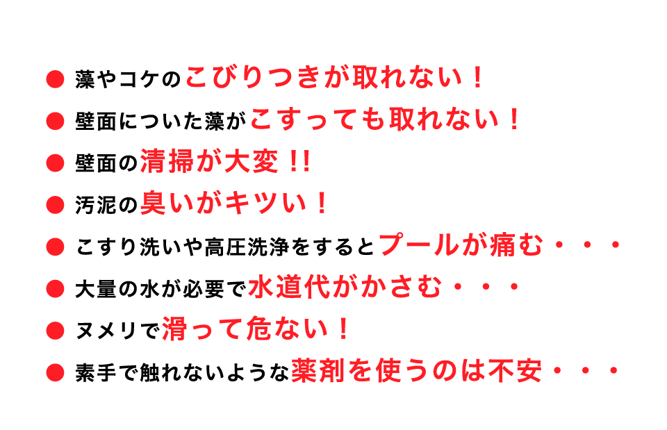 公式 プール洗浄促進剤 マグクリーンsp